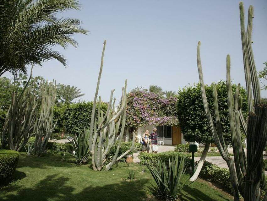 Shams Safaga Resort Shams Safaga Resort Сафага-2-2.jpg